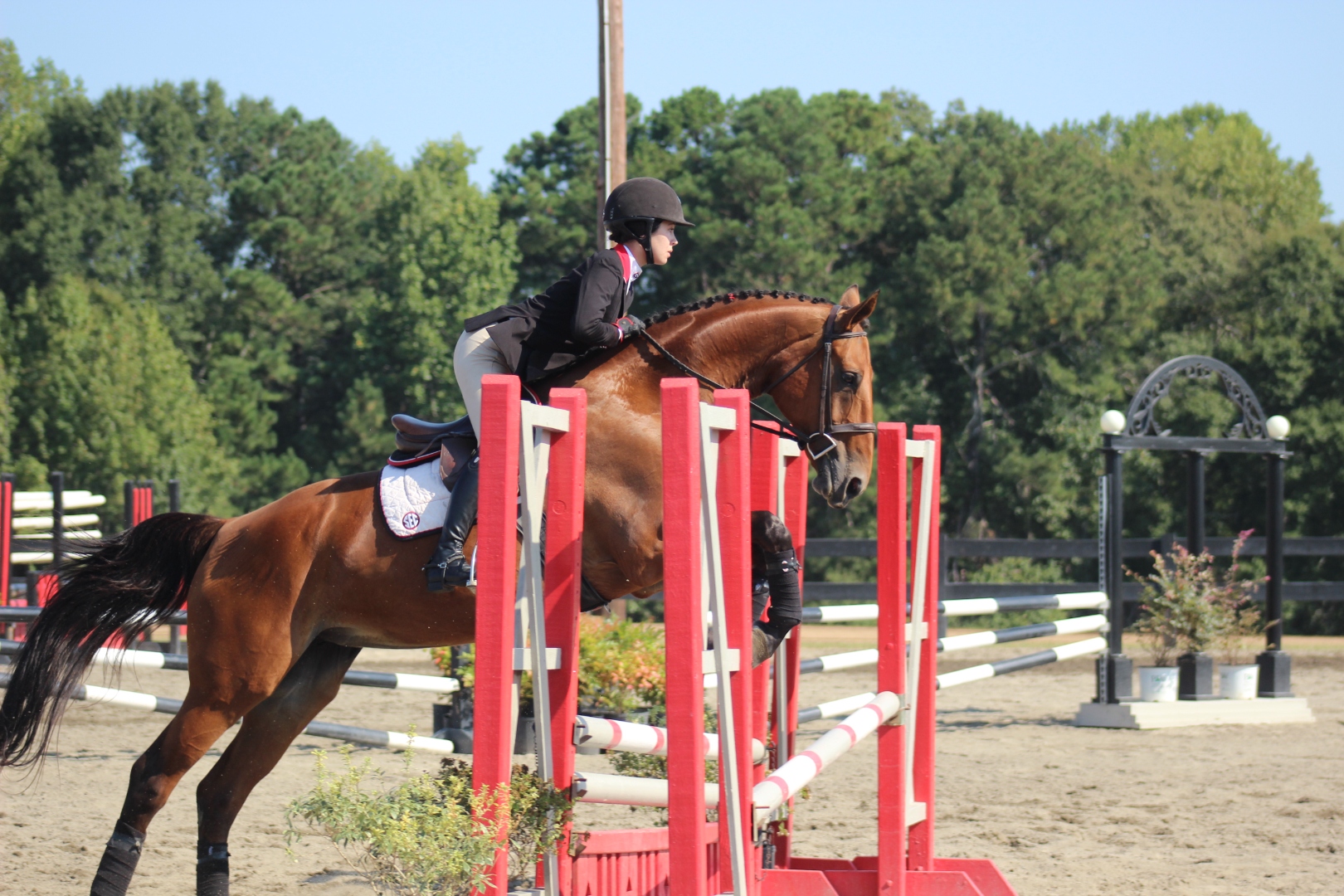 Alexa competing in equestrian