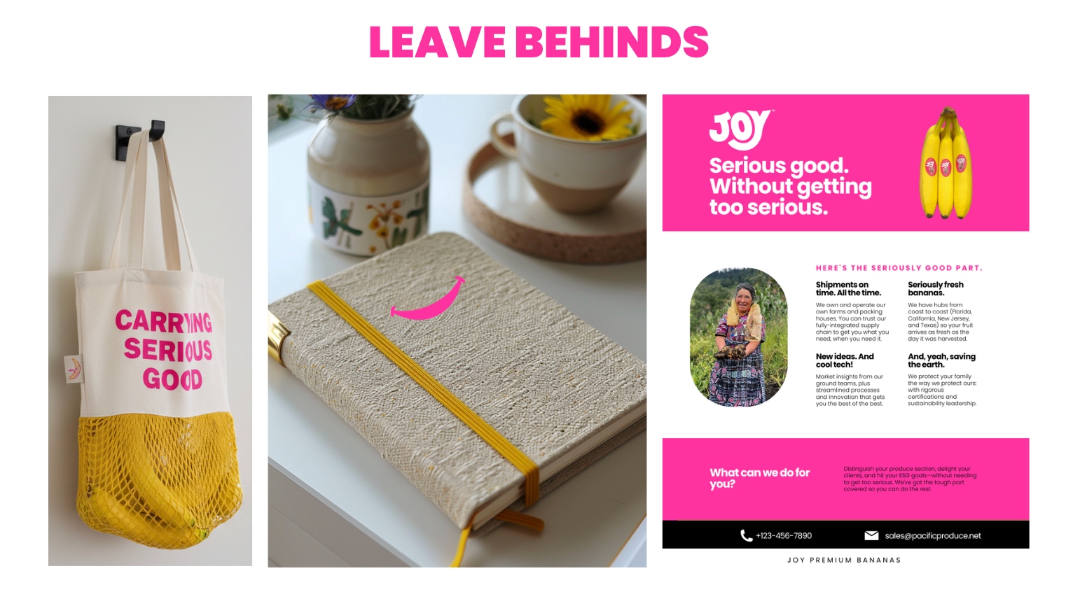 Joy B2B — leave behinds and collateral